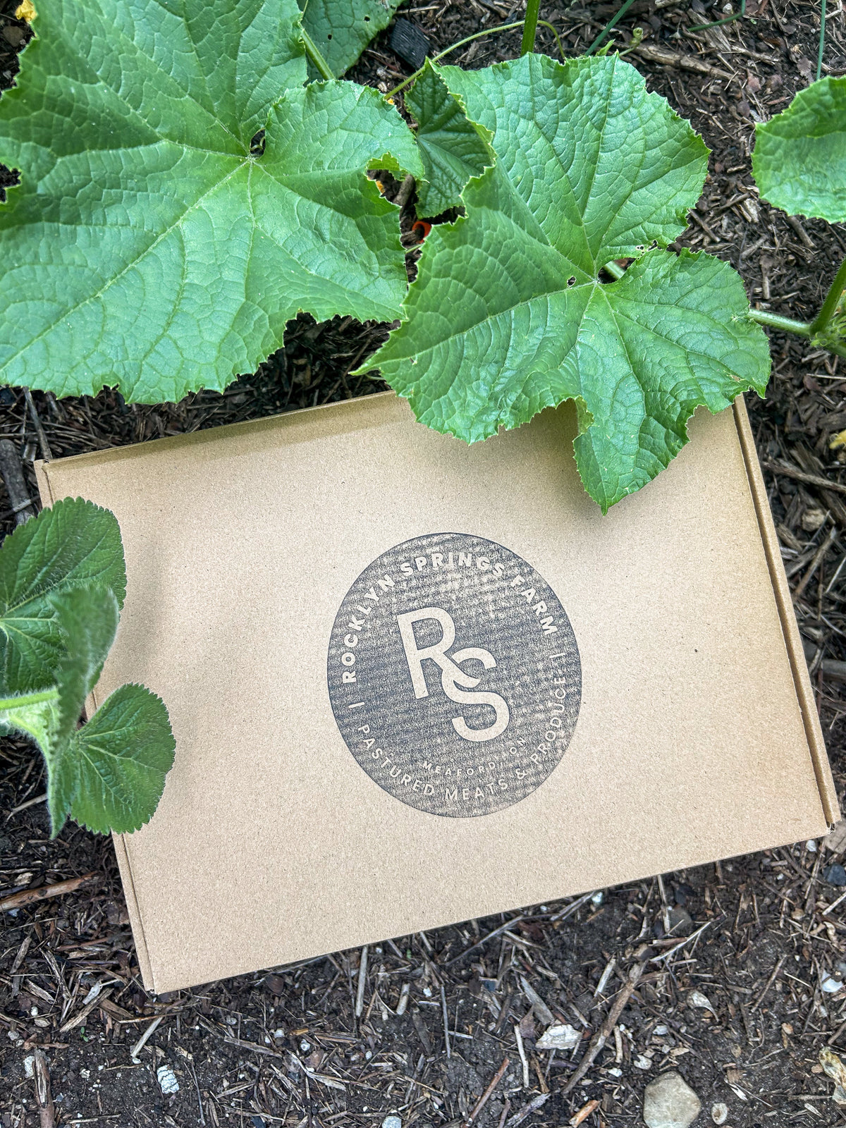 Sausage Collection from Rocklyn Springs Farm featuring Italian, garlic, smoked and breakfast sausage