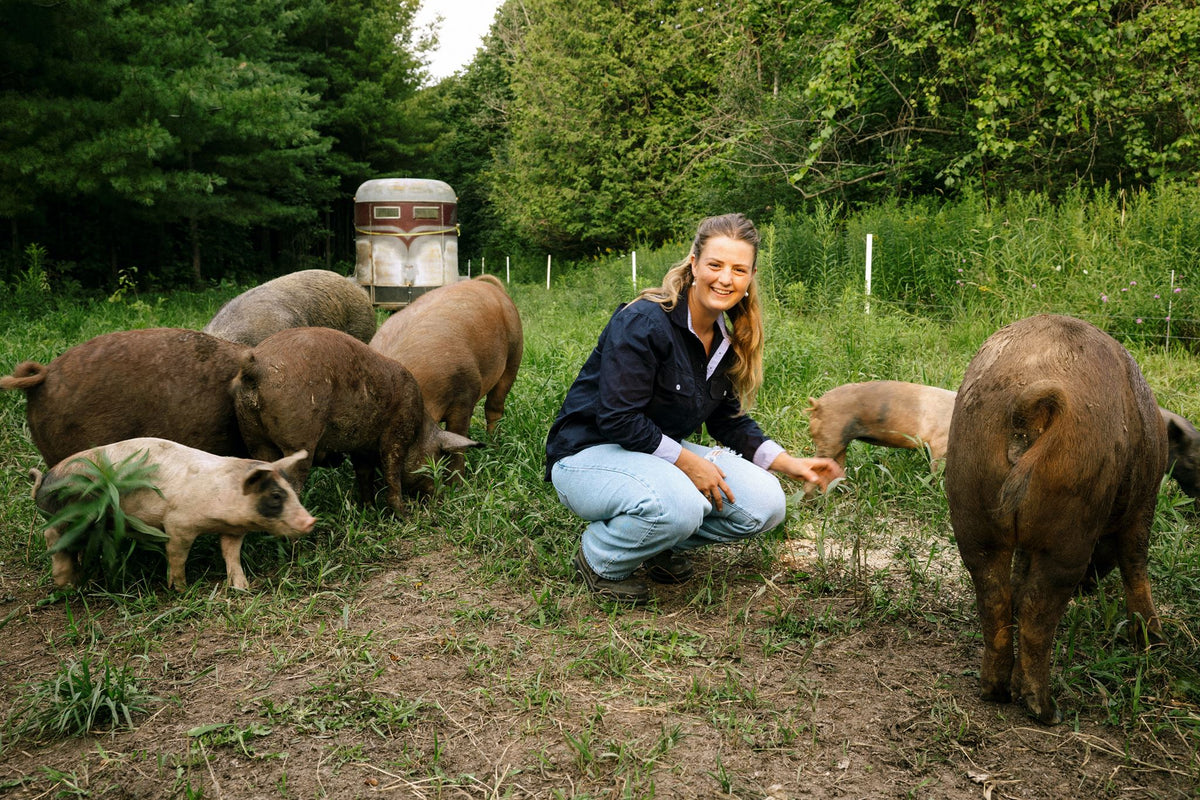 Rocklyn Springs Farm | Pasture-Raised Pork