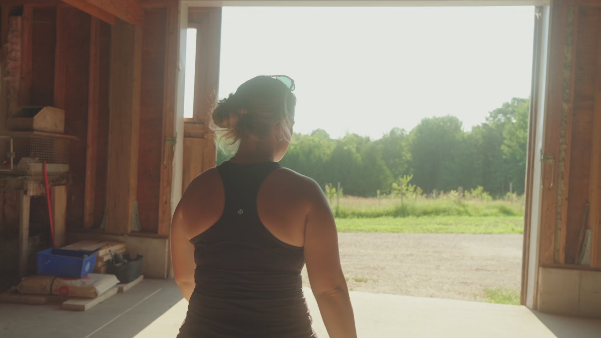 Rocklyn Springs Farm Video